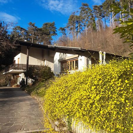 Marzola Bed & Breakfast Trento Exterior photo