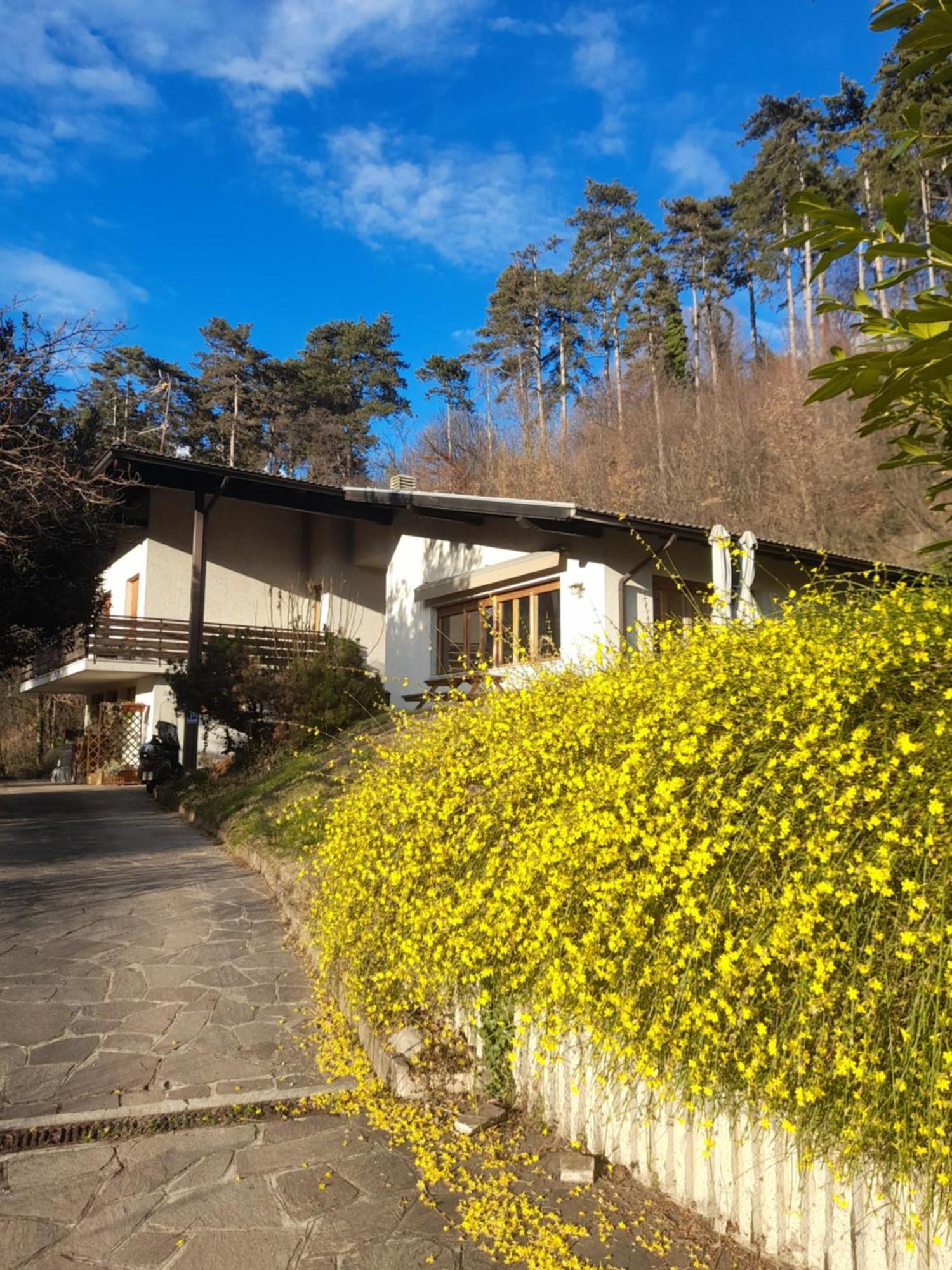 Marzola Bed & Breakfast Trento Exterior photo
